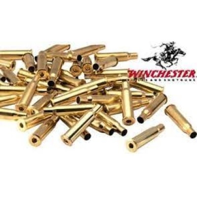 Winchester Brass 223 REM (100 Pack) (WINU223)