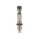 Redding Competition Neck Sizing Die 22-250 REM RED56106